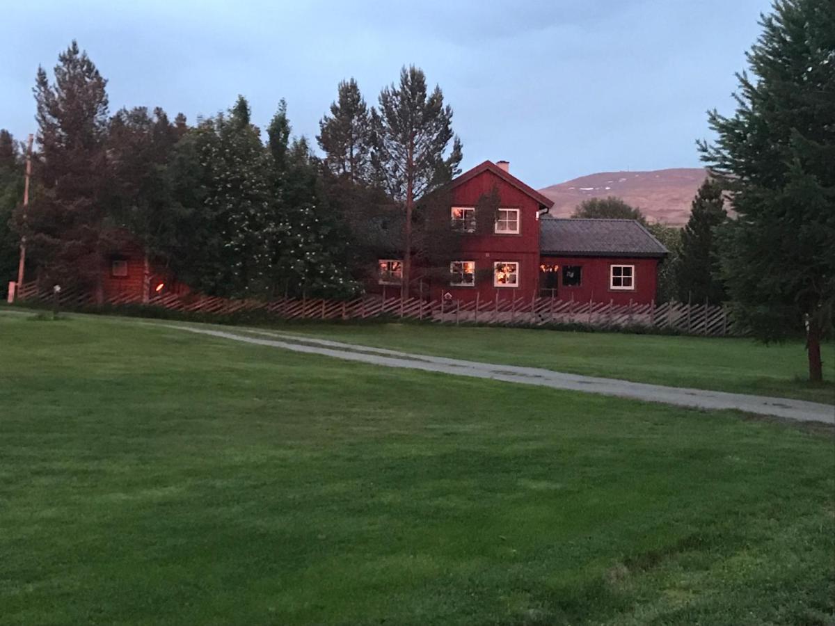 Roste Hyttetun Og Campsite