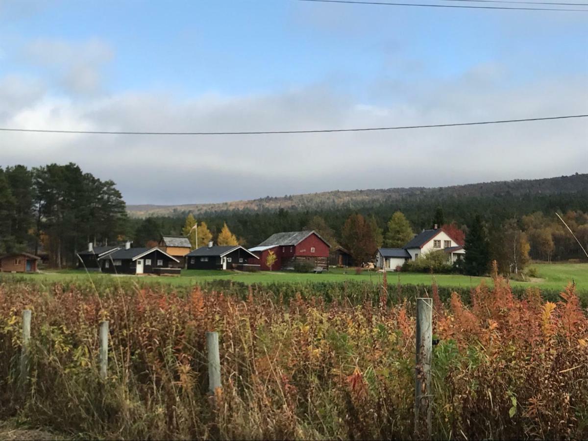 Roste Hyttetun Og Camping