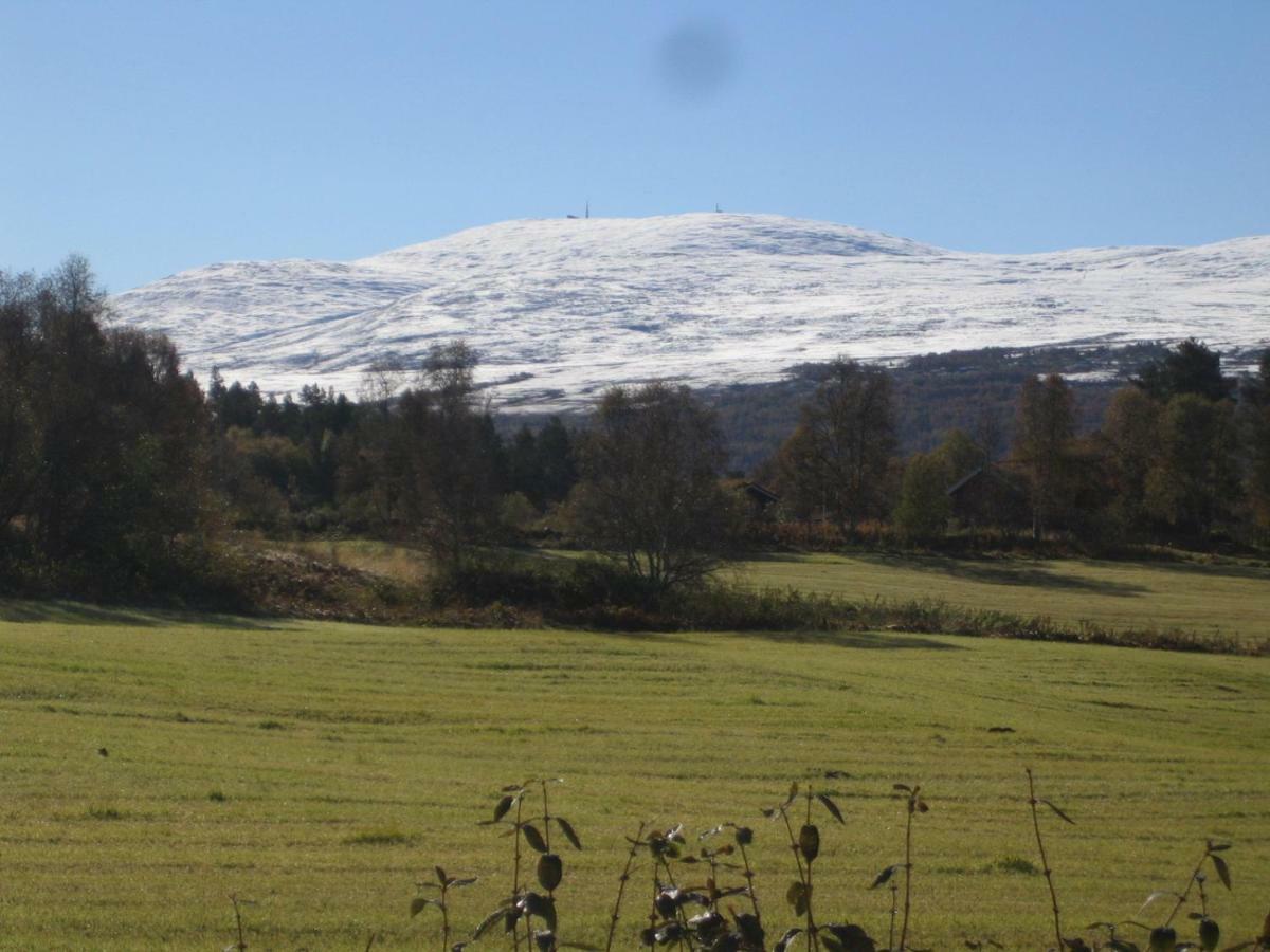 Roste Hyttetun Og Os (Hedmark)