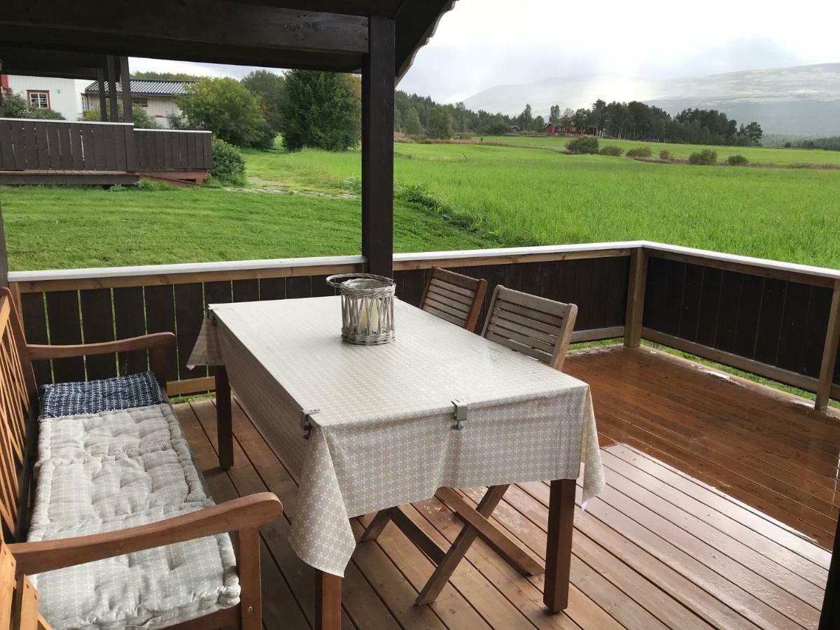 Roste Hyttetun Og Campsite Os (Hedmark)
