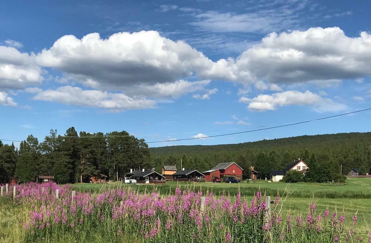 Roste Hyttetun Og 2* Os (Hedmark)